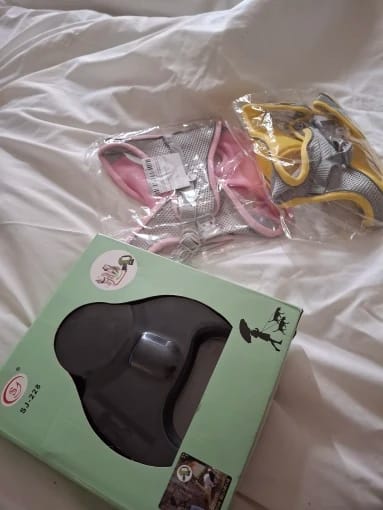 Customer photo review of 360 Retractable Dog Leash for Two Dogs