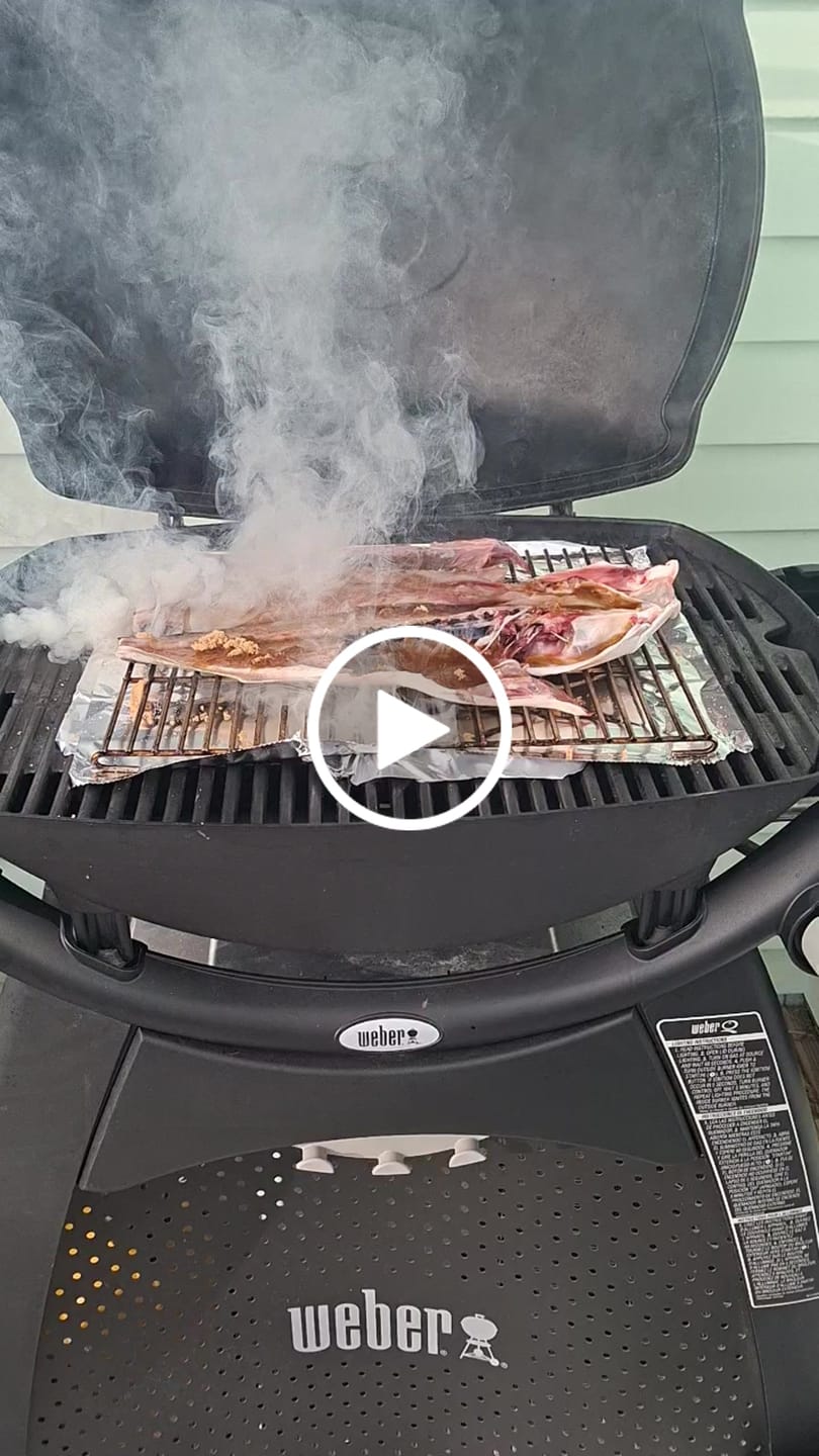 Customer video review of Smokai Smoke Generator Kit for Weber Q Series