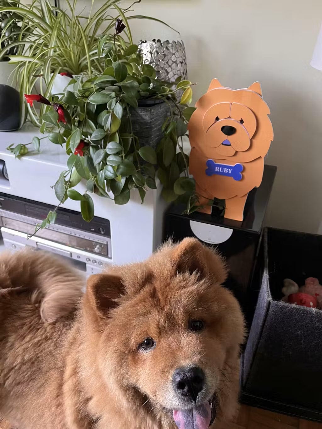 Customer photo review of Dog Planter - Chow Chow