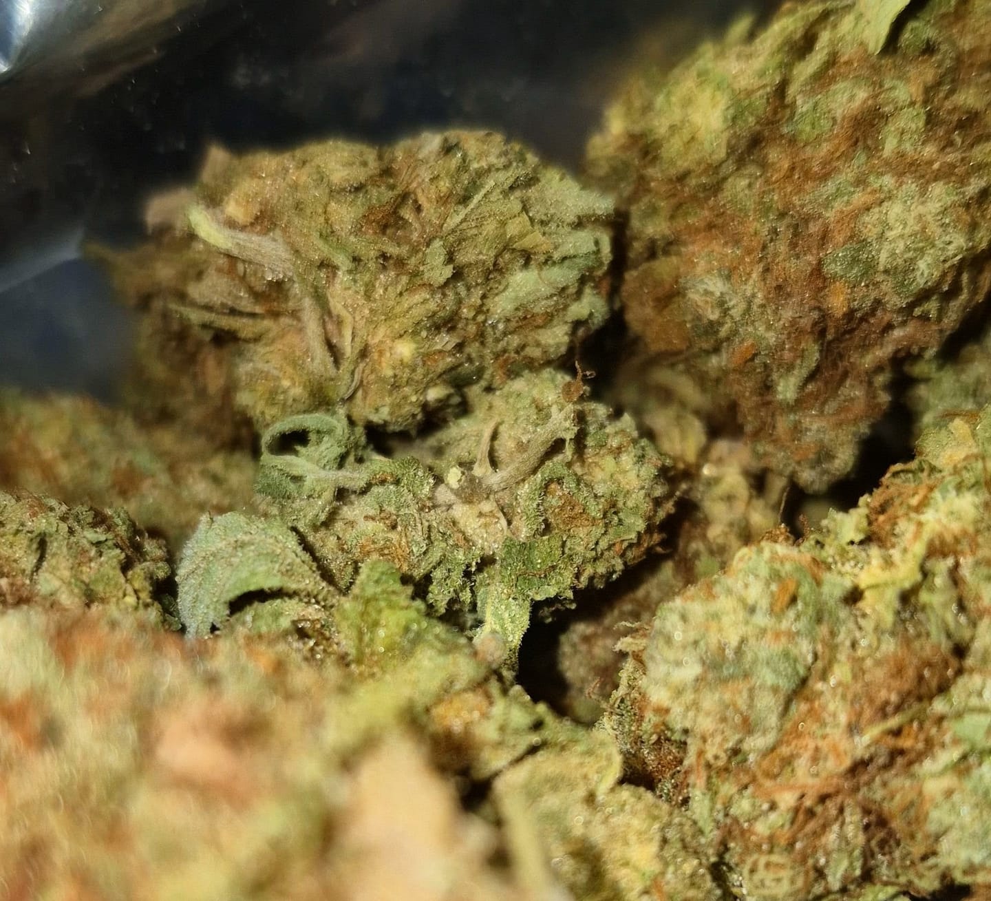 Customer photo review of Airheadz THCA Flower