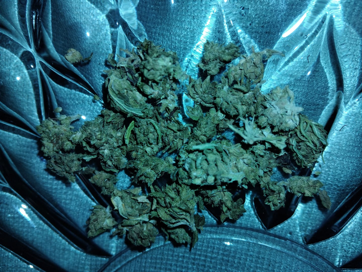 Customer photo review of 9H-HHC Blüten Signature Bundle – 5 Sorten, 25g | Best of 9H-HHC