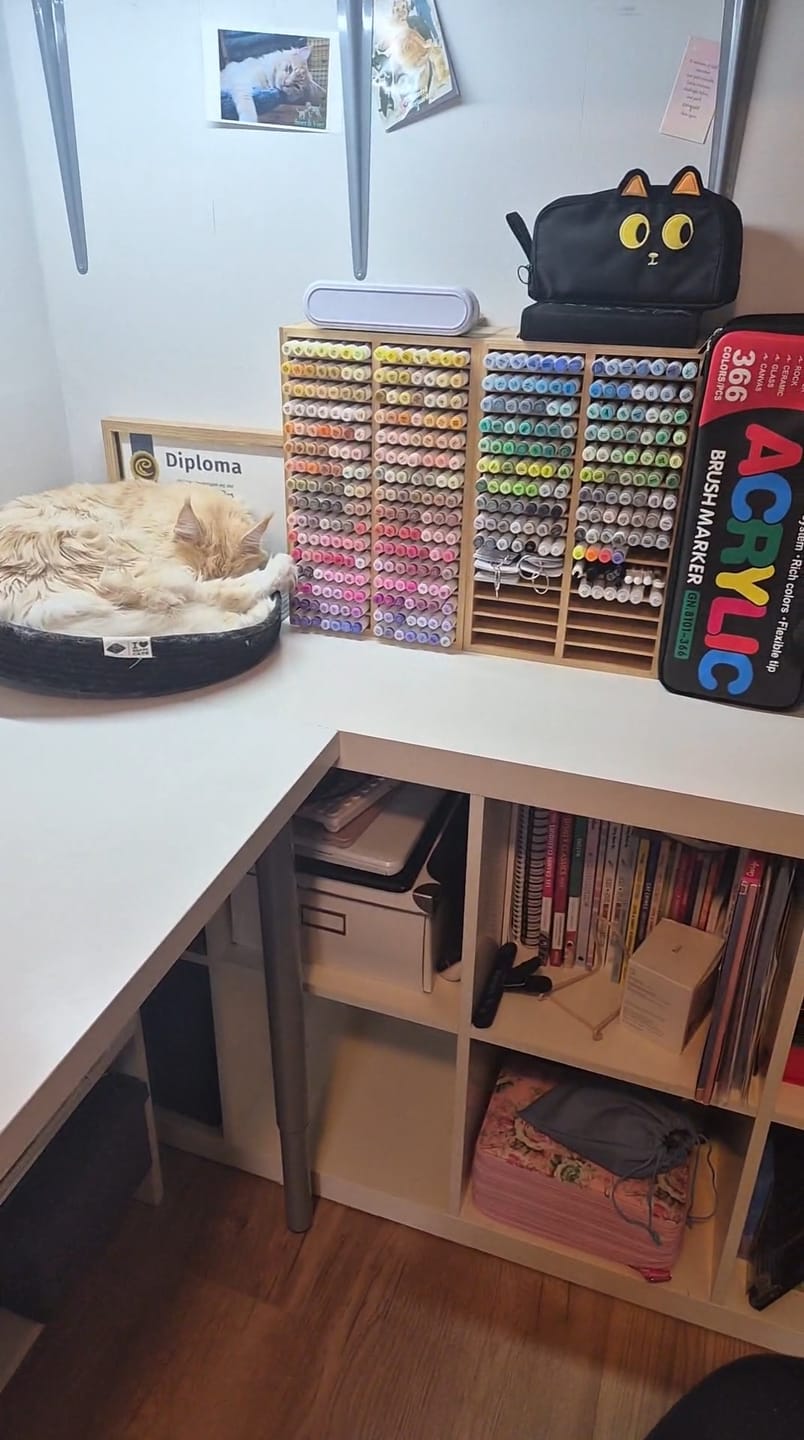 Customer photo review of Ohuhu Bamboo Marker Organizer