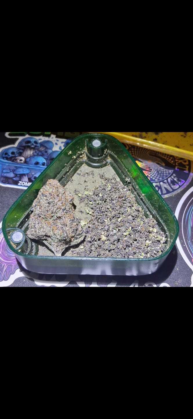 Customer photo review of Black Runtz 4.4 Grams