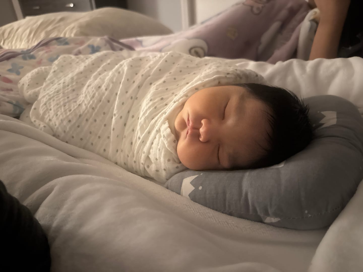Customer photo review of Little Manta Portable Baby Lounger Nest