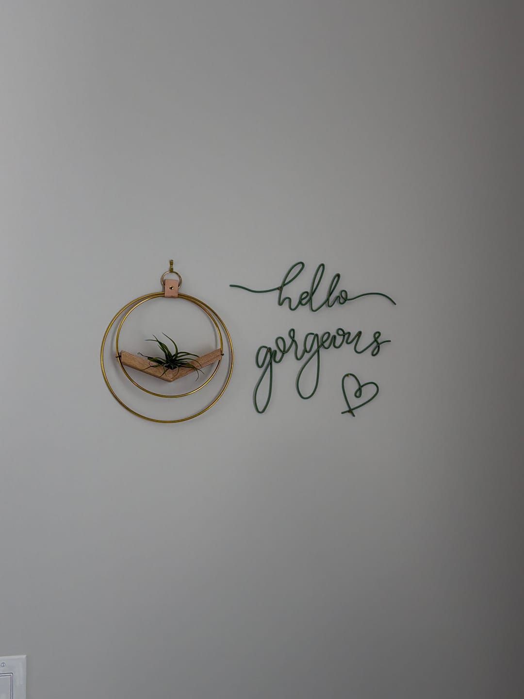Customer photo review of Air Plant V-Hanger