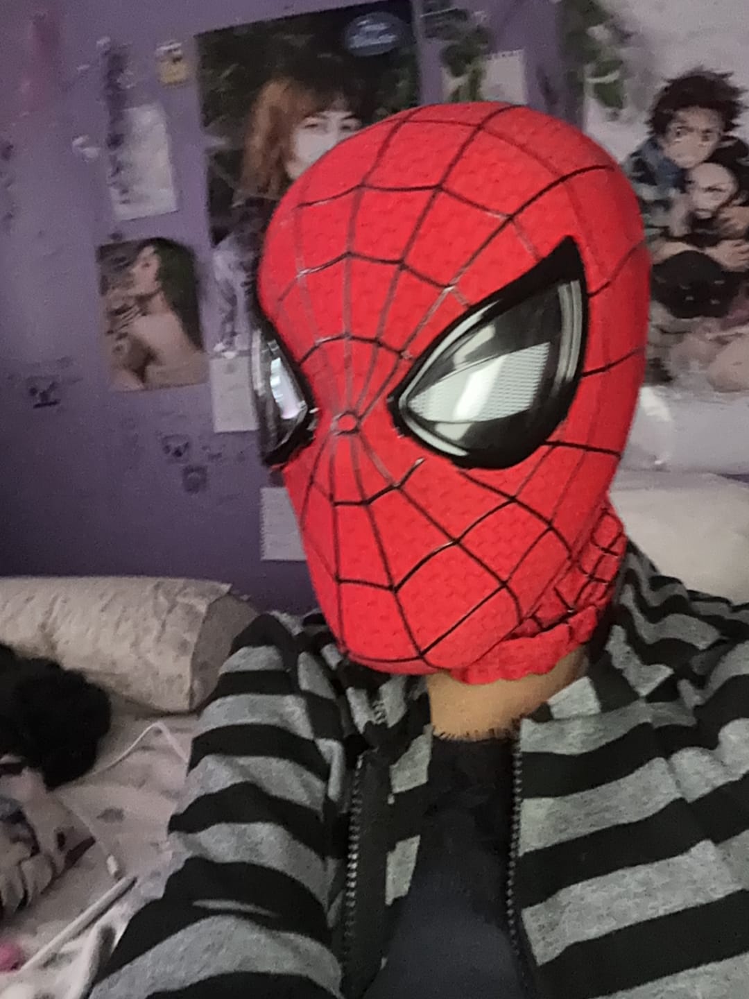 Customer photo review of The Amazing Spider-Man 2 Wearable Mask