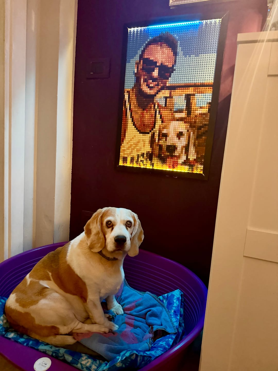 Customer photo review of Custom Design Brick Mosaic - 2x3 baseplates