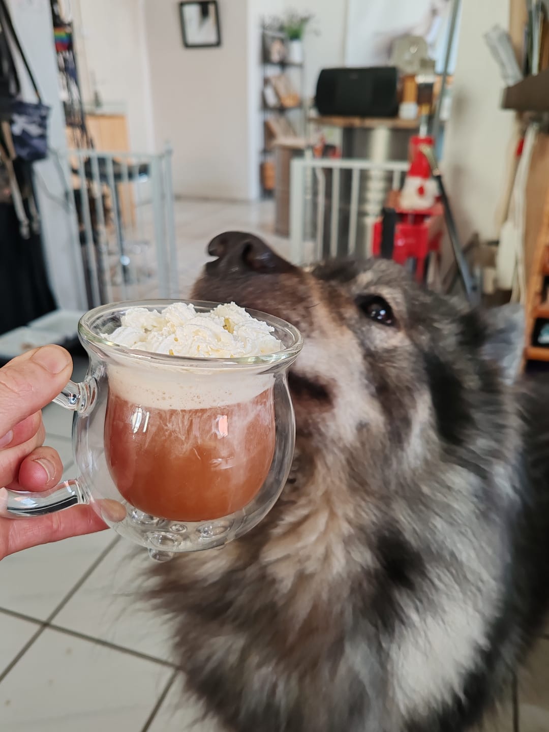 Customer photo review of Limitierter 1 kg Beutel – Butterscotch Brew Special Edition