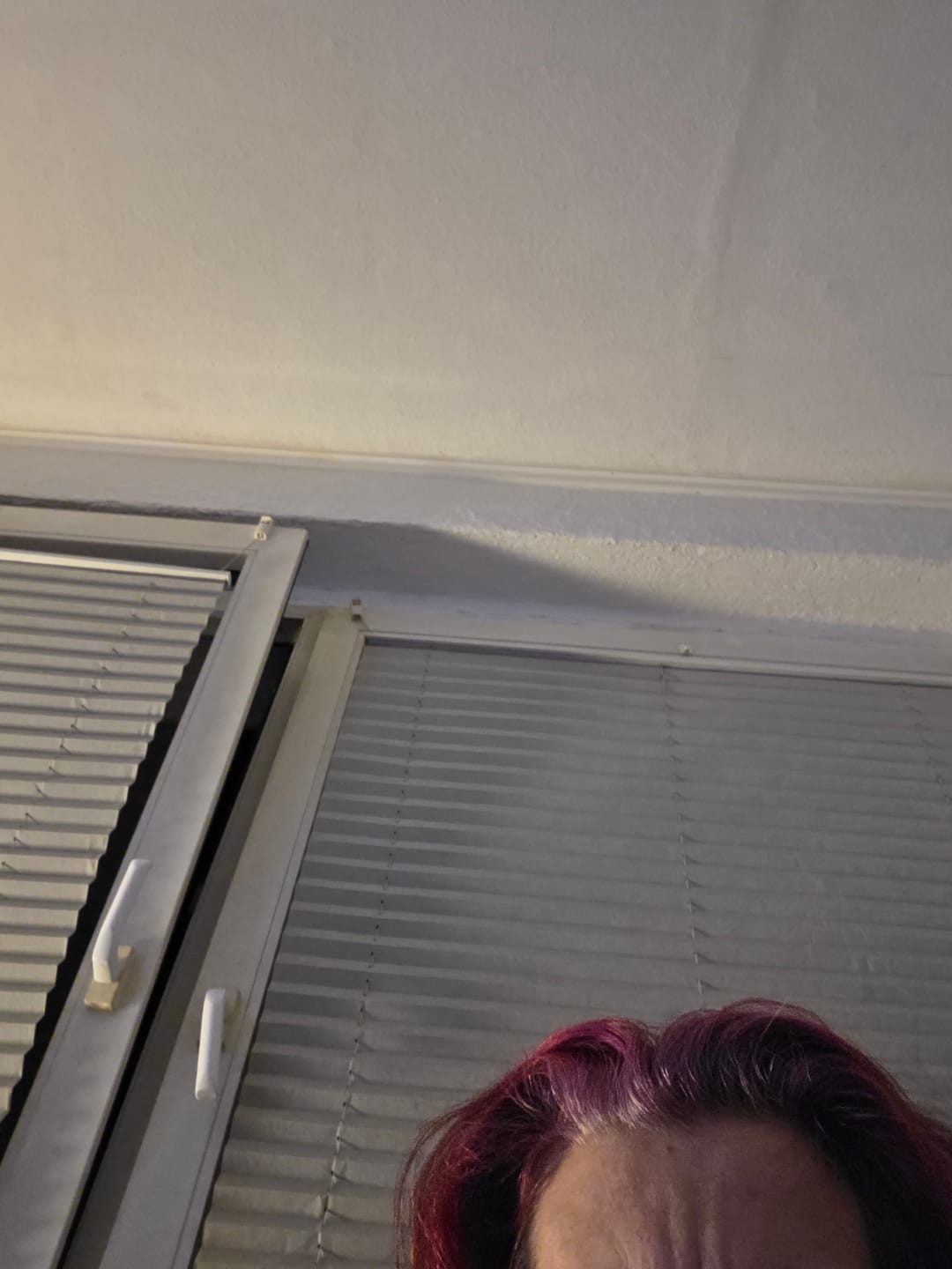 Customer photo review of Mattie Bright Pink - Vegan Semi-Permanent Direct Dye Hair Color Cream 210 ml