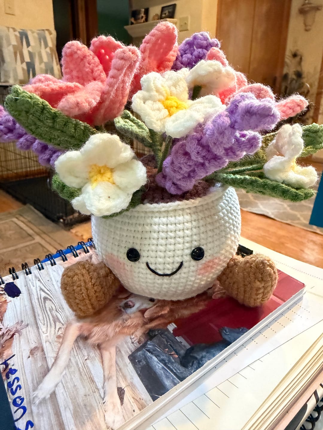 Customer photo review of Handmade Crochet Plant Pot Collection – Cute Flower, Mushroom & Strawberry Amigurumi Desk Decor