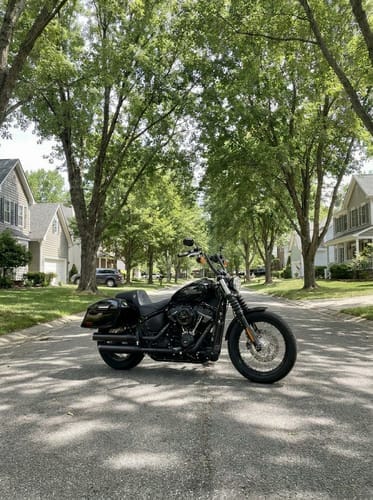 Customer photo review of 44L - Lamellar Stallion Extra Large Painted Motorcycle Hard Saddlebags for Harley Softail Street Bob FXBB/S