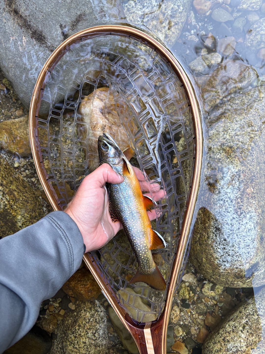 Customer photo review of Redington Field Kit Euro