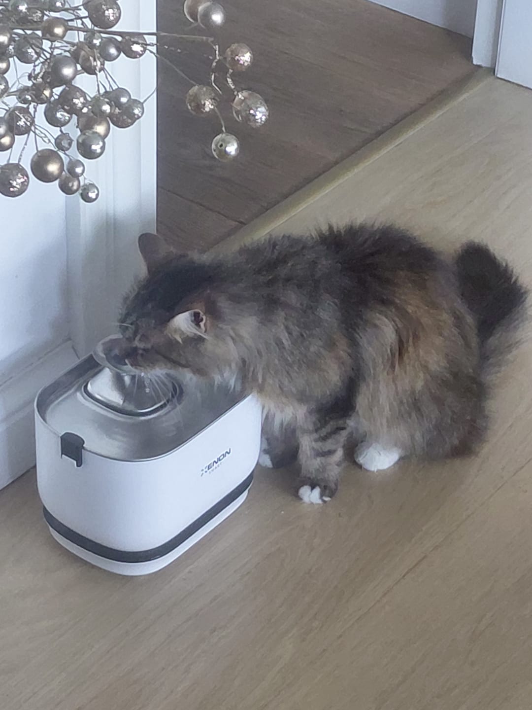 Customer photo review of Kedi Su Pınarı Filtresi (X8652 ve X8653 Uyumlu) | 4'lü Set, Fırça ve Süngerli Yedek Parça (X8783)