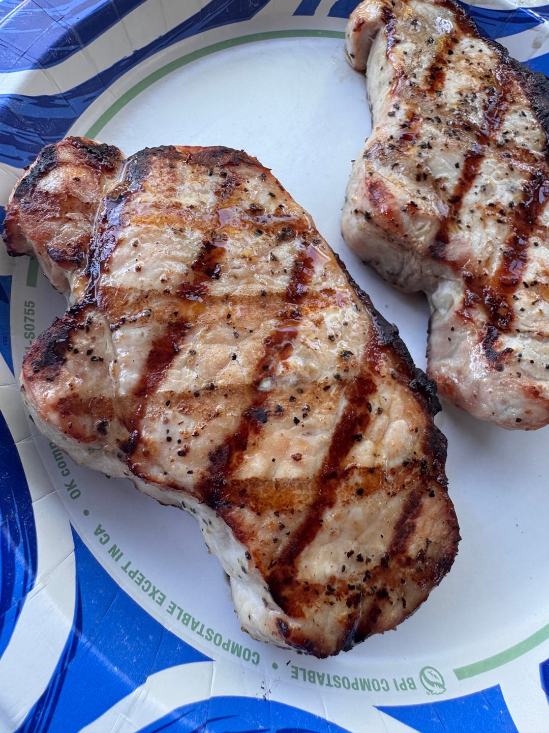 Customer photo review of SPG Rub & Seasoning