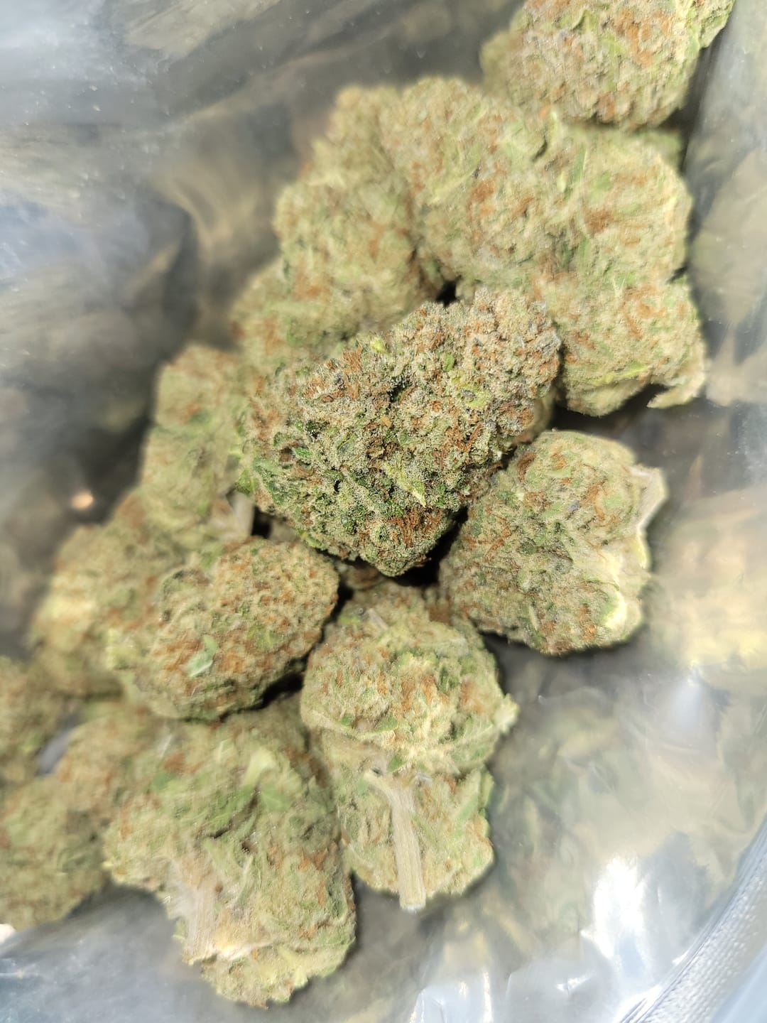 Customer photo review of THCA Queen