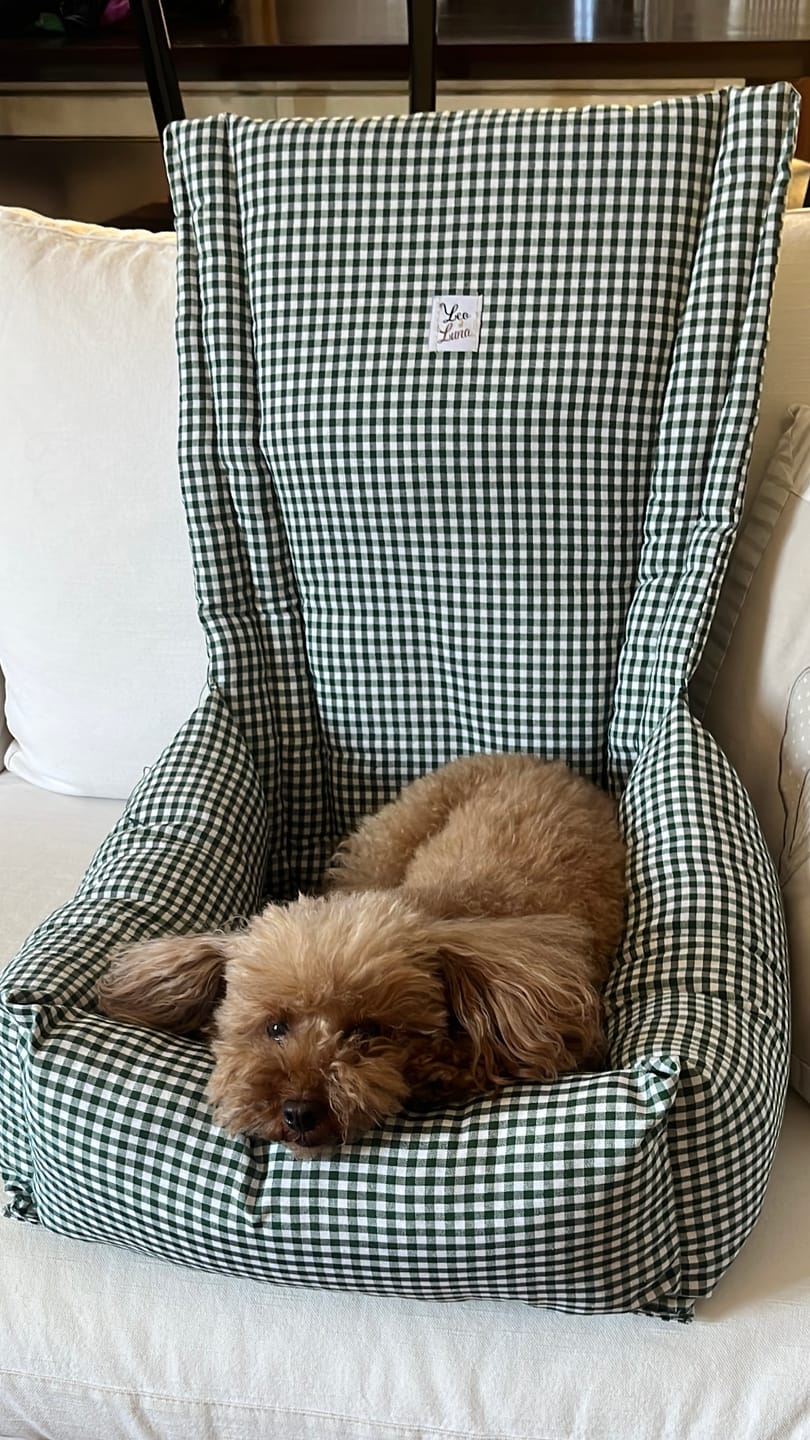 Customer photo review of Seggiolino Auto Cotone Vichy Verde Scuro