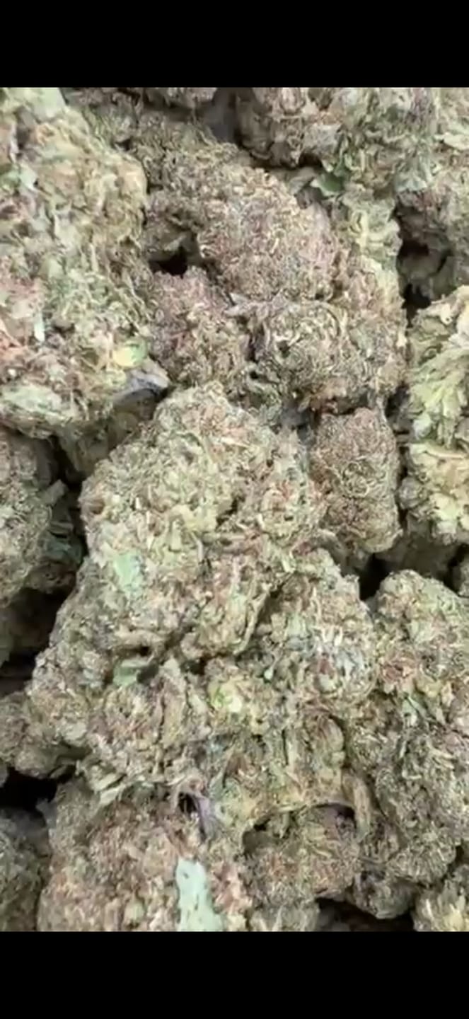 Customer photo review of Thin Mint Cookies - Bulk - Hybrid