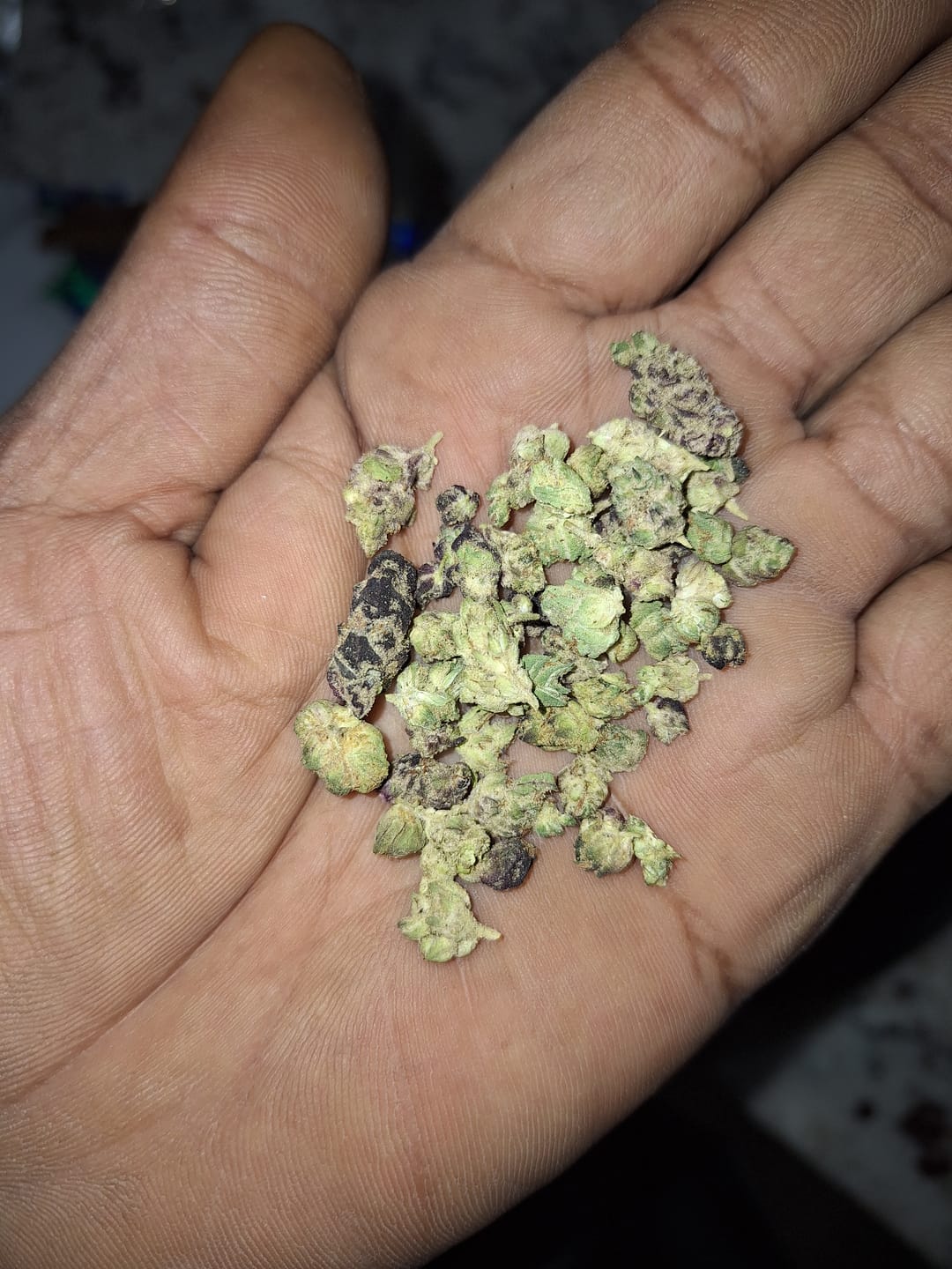 Customer photo review of KIND - Pink Runtz Indoor - Micro - 28 Grams - Hybrid