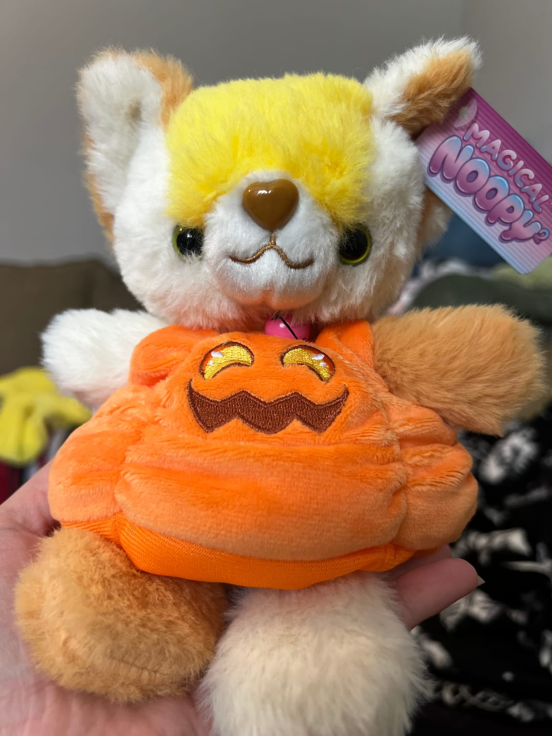 Customer photo review of Pumpkin Costume for Noopy Plush