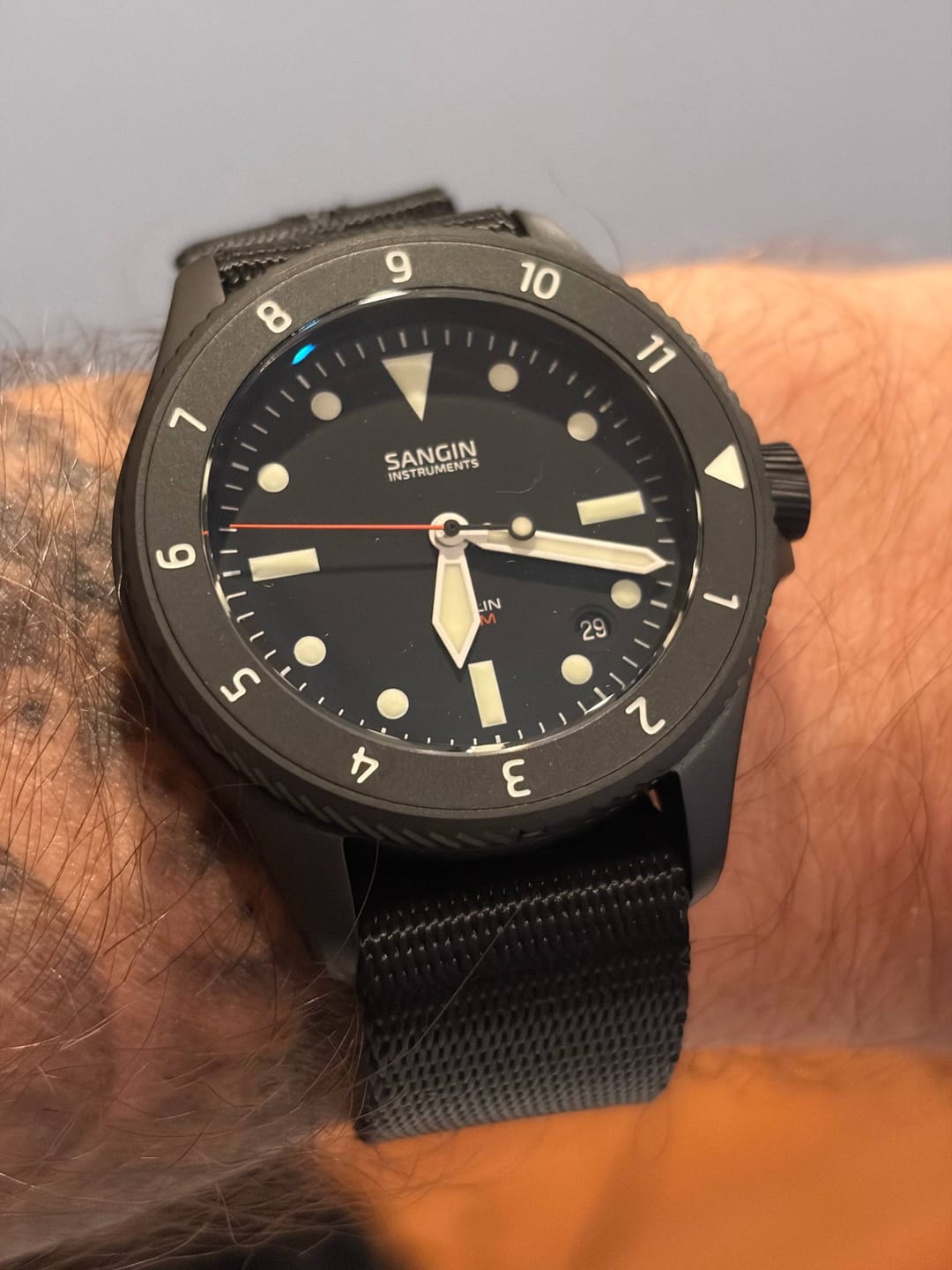 Customer photo review of Merlin (Private Release)