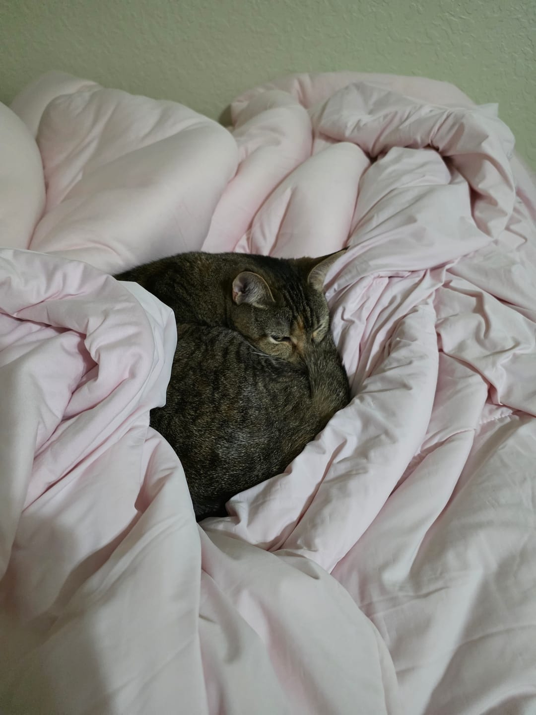 Customer photo review of CloudCool™ Cooling Comforter