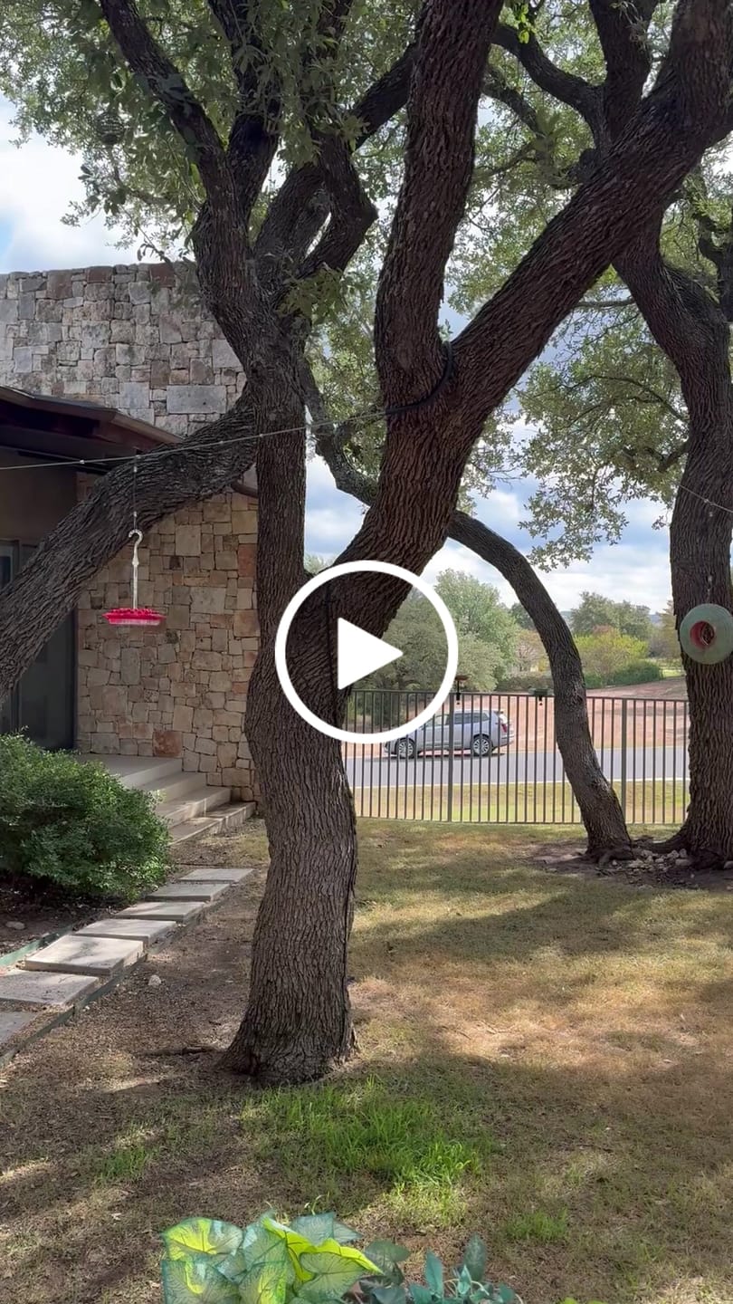 Customer video review of Jade Fly-Thru Feeder