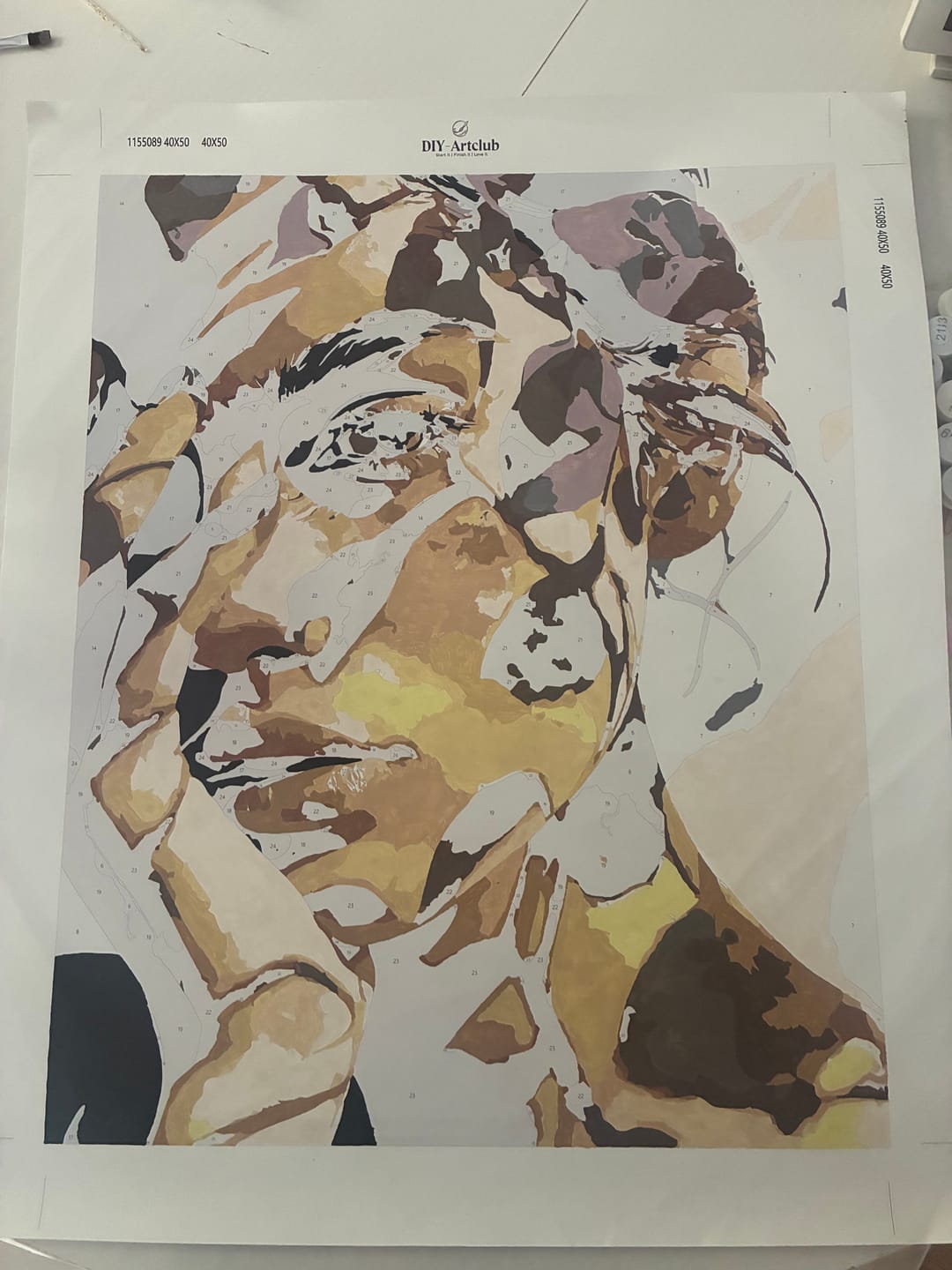 Customer photo review of Through the Light | Paint by Number
