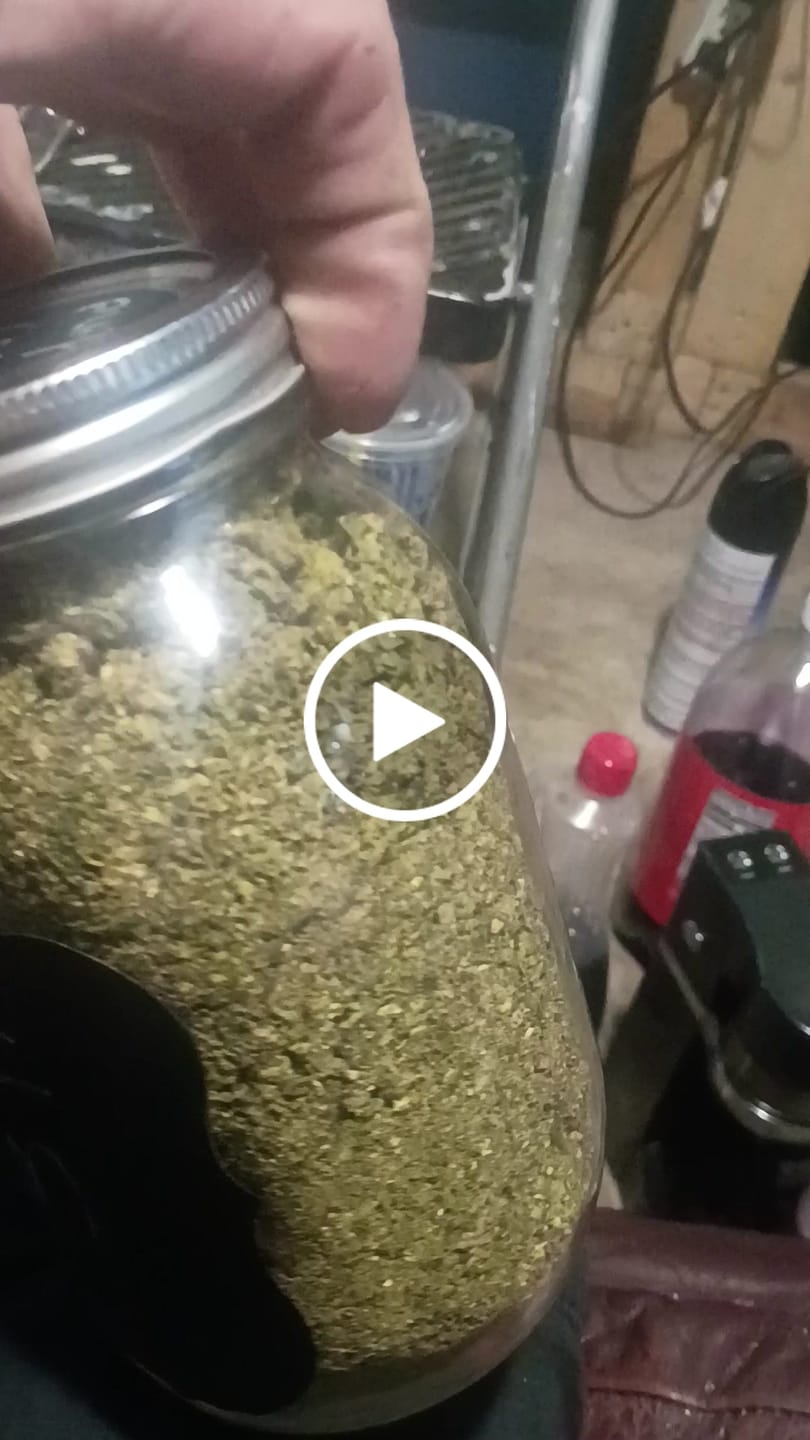 Customer video review of No4. Purple Cream THCa Shake (Wholesale)