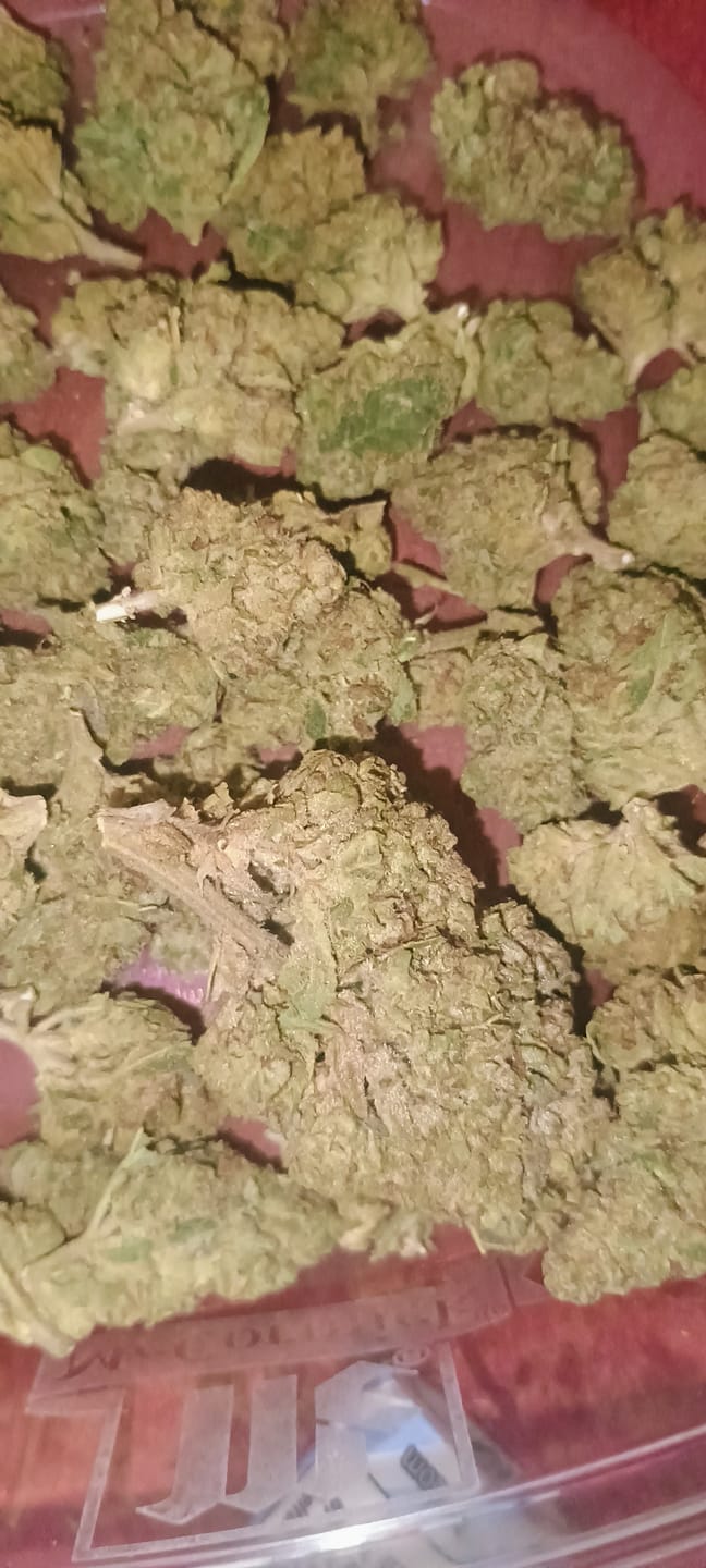 Customer photo review of Cheap THCA Flower Ounce