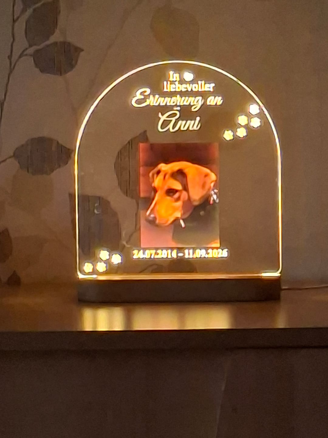 Customer photo review of Zur liebevollen Erinnerung – LED-Lampe für Hund/Katze