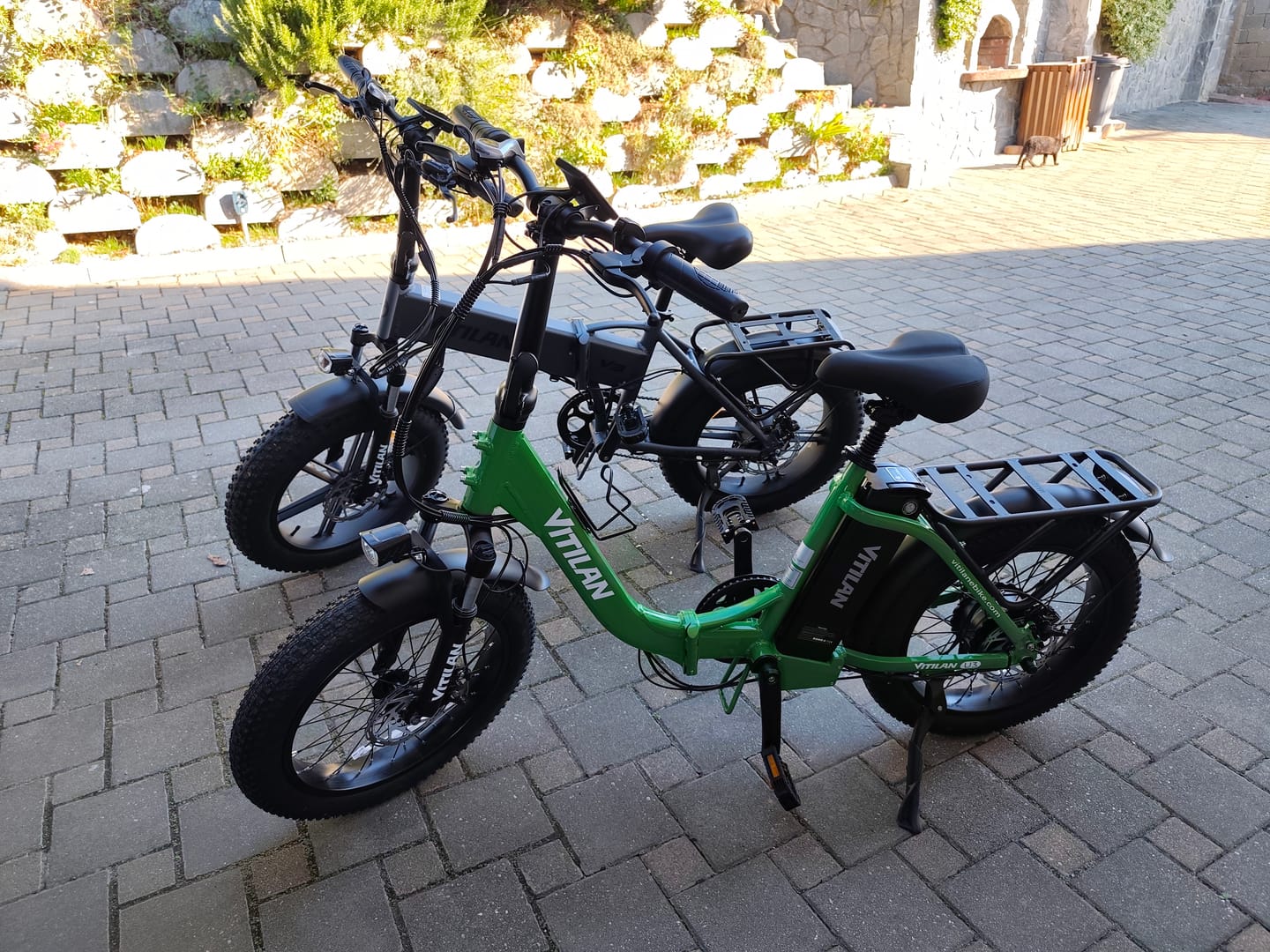 Customer photo review of Shipping Protection