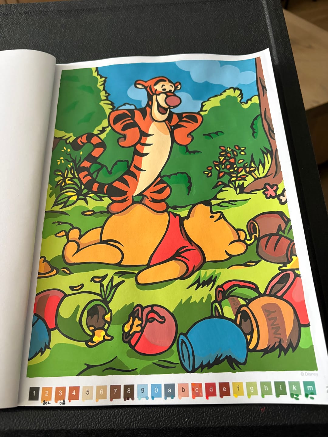 Customer photo review of Ohuhu Honolulu 24 Basic Colors Dual Tips Alcohol Art Markers (New Color Codes)