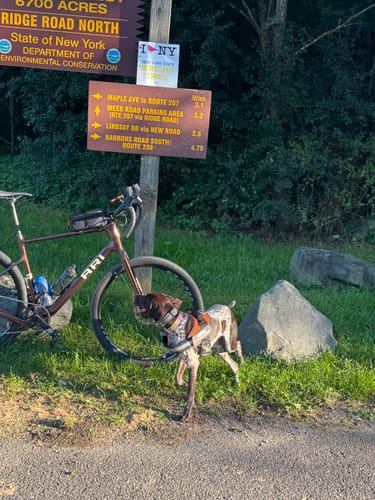 Customer's Dogshood No Pull Harness on a dog standing next to a bicycle and a park sign.