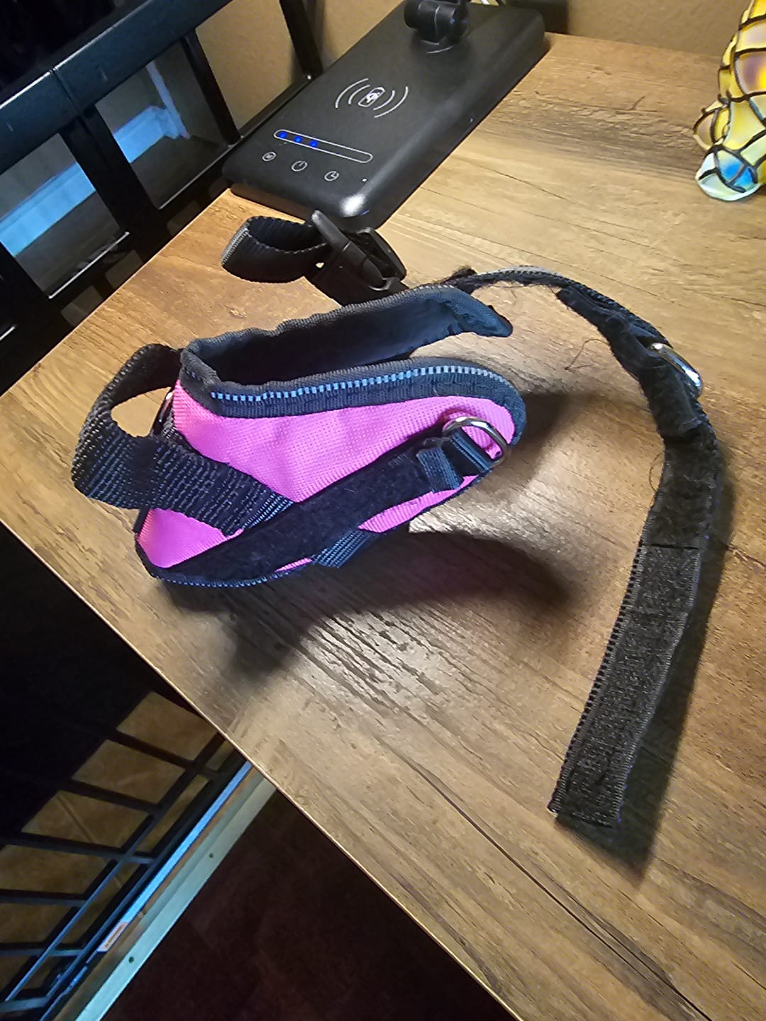 Customer photo review of Dogshood ™ Ergonomic Harness
