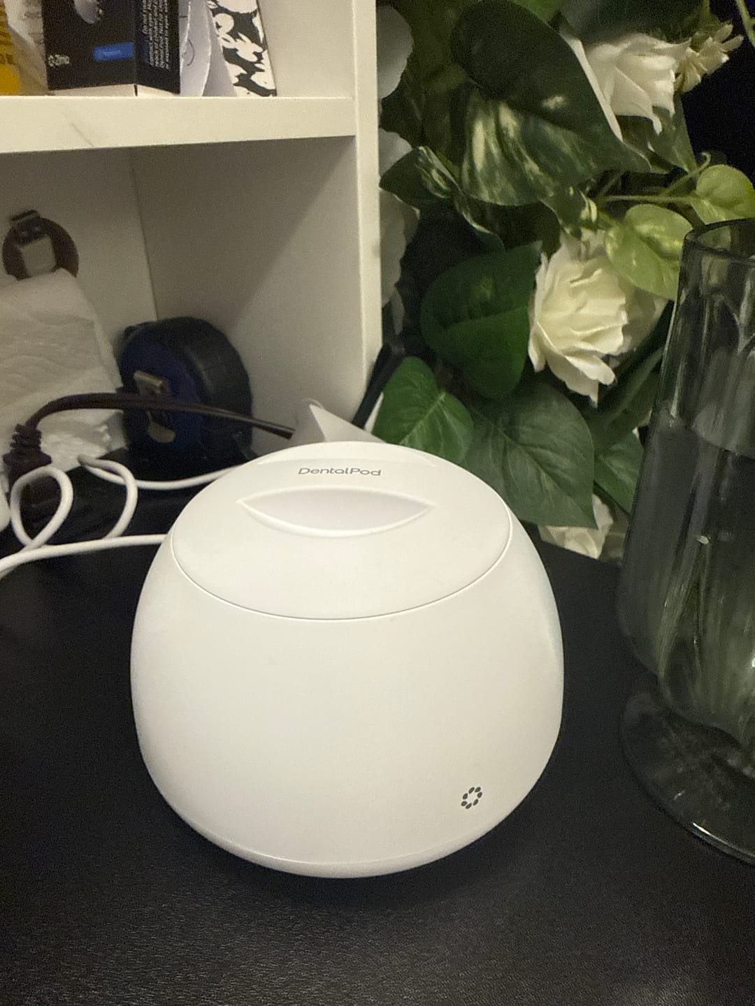 Customer photo review of Dental Pod