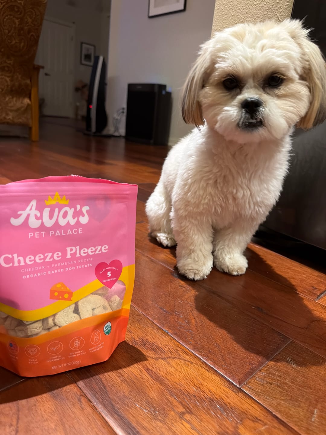 Customer photo review of Organic Baked Dog Treats - Cheeze Pleeze