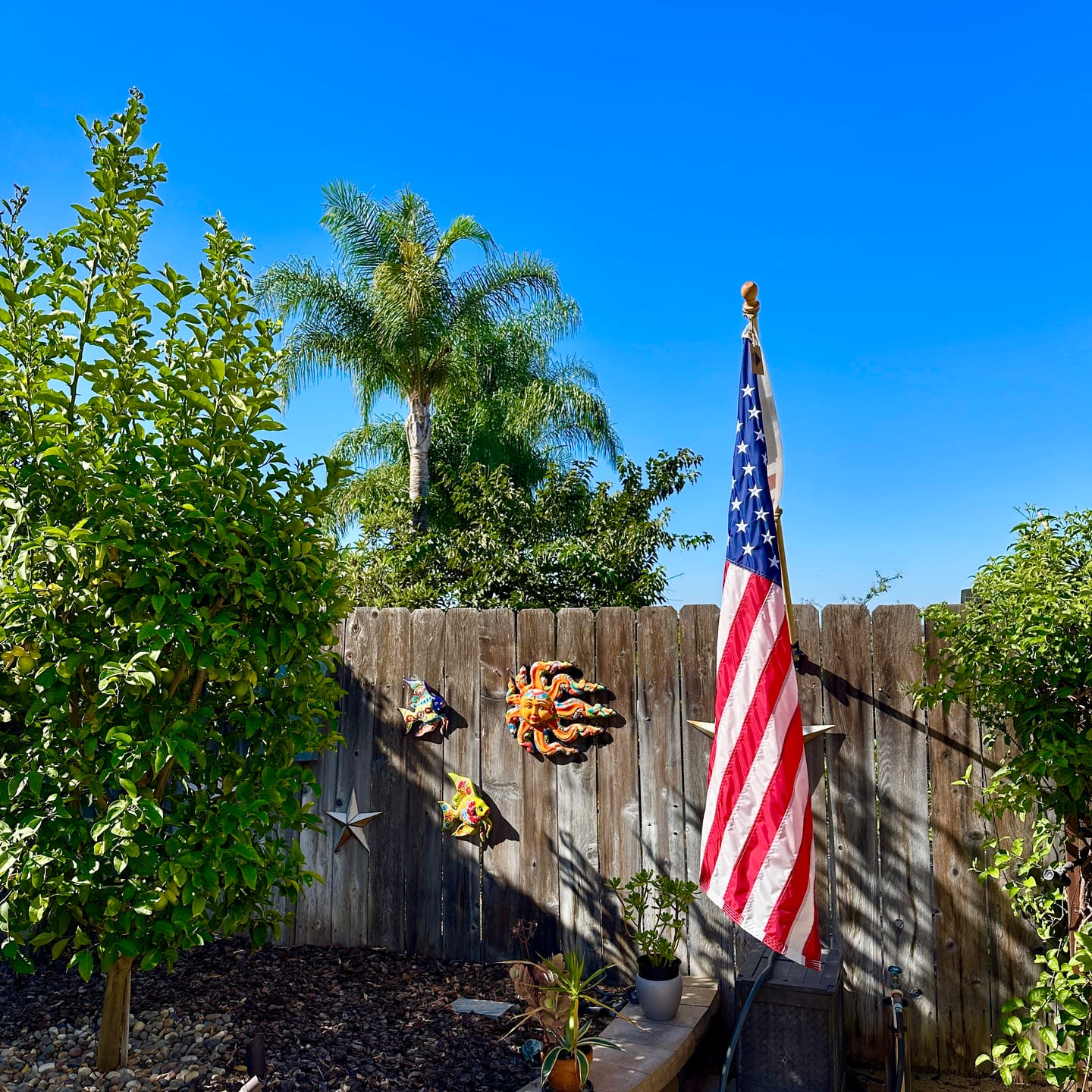 Customer photo review of 3' x 5' American Flag Set