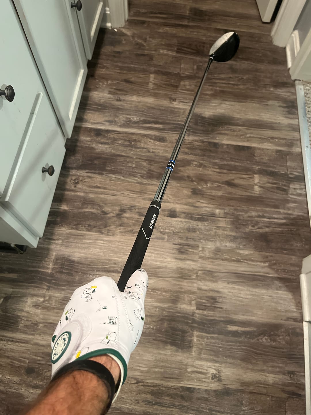 Customer photo review of Peanuts Snoopy Swing Glove