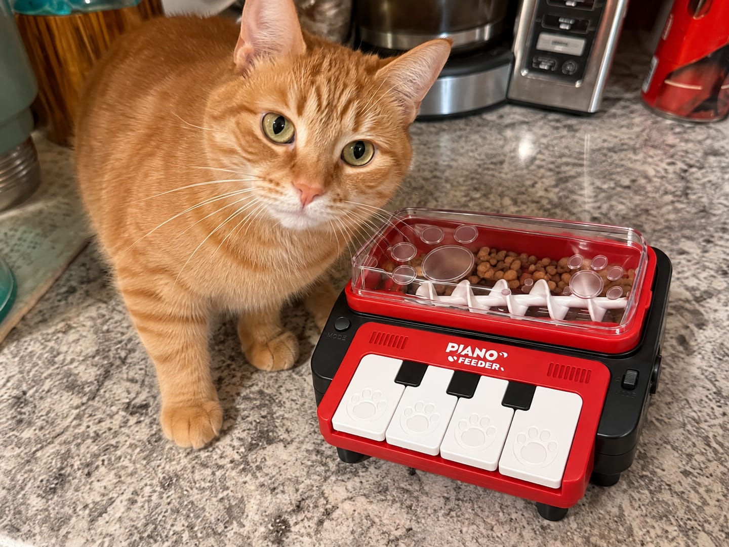 Customer photo review of Leckerli-Klavier, das Hund & Katze beschäftigt