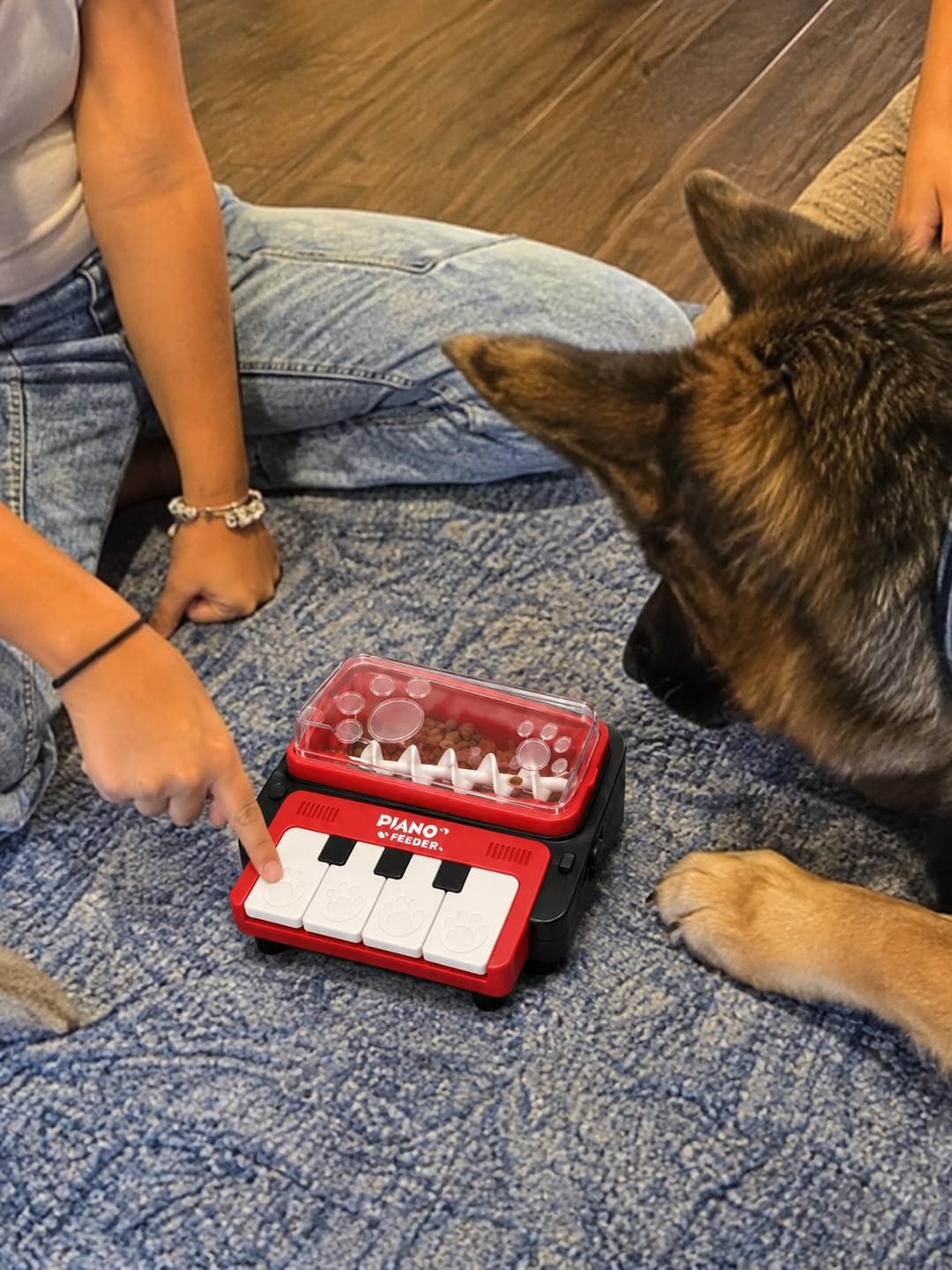 Customer photo review of Leckerli-Klavier, das Hund & Katze beschäftigt