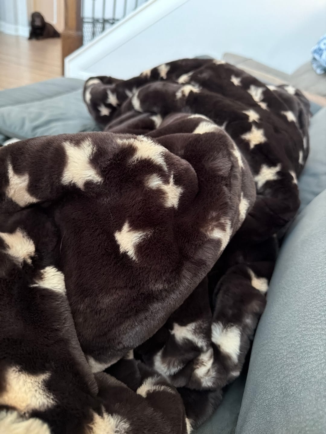 Customer photo review of Lush Halloween Stars Blanket
