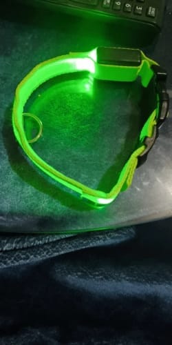 Customer photo review of Double-Light Collar to See Your Dog at Night