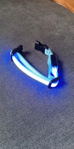 Customer photo review of Double-Light Collar to See Your Dog at Night