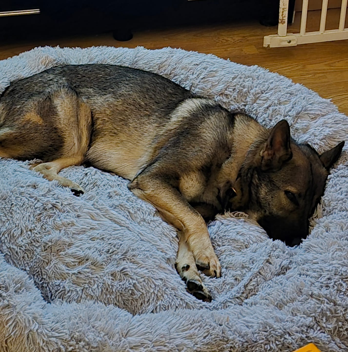 Customer photo review of CalmBed överdrag