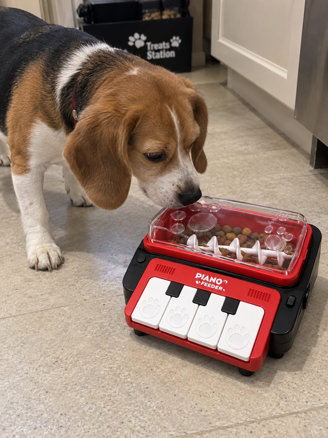 Customer photo review of Leckerli-Klavier, das Hund & Katze beschäftigt