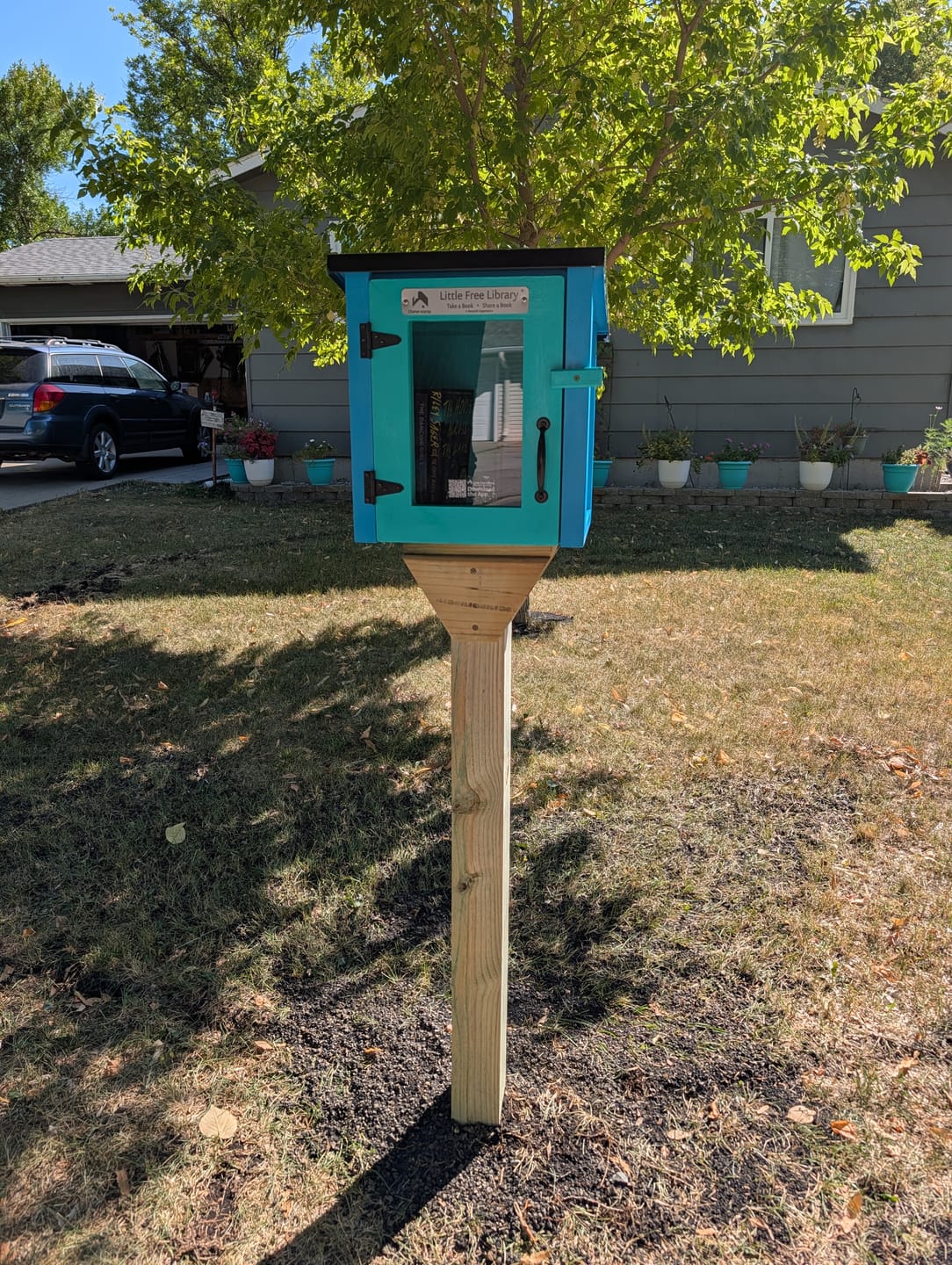 Customer photo review of Mini Shed Little Free Library Etsy