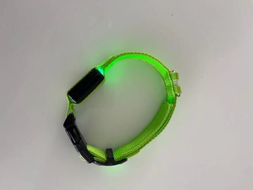 Customer photo review of Double-Light Collar to See Your Dog at Night
