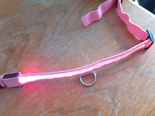 Customer photo review of Double-Light Collar to See Your Dog at Night