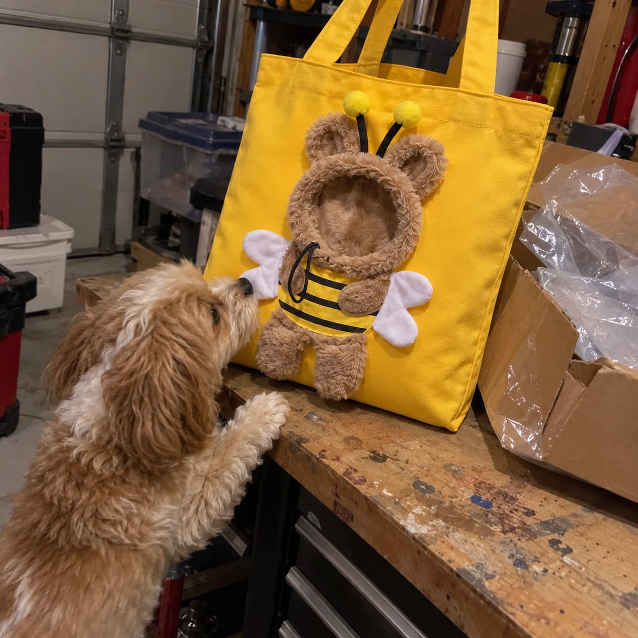 Customer photo review of MILO | Go™