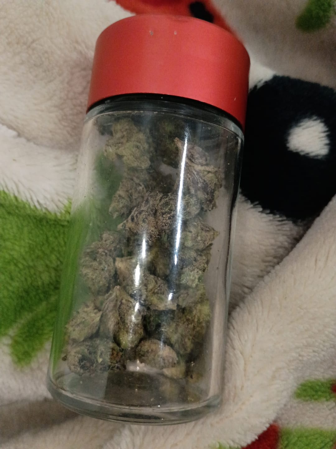 Customer photo review of Greenhouse Smalls